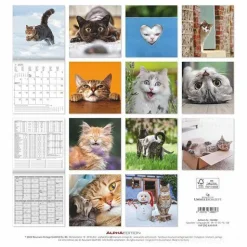 Calendario 2025 Funny Cats cm 30x30