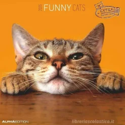 Calendario 2025 Funny Cats cm 30x30