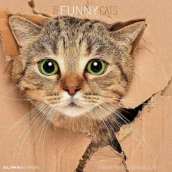 Calendario 2023 Funny Cats 30x30