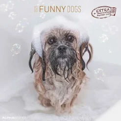 Calendario 2025 Funny Dogs cm 30x30