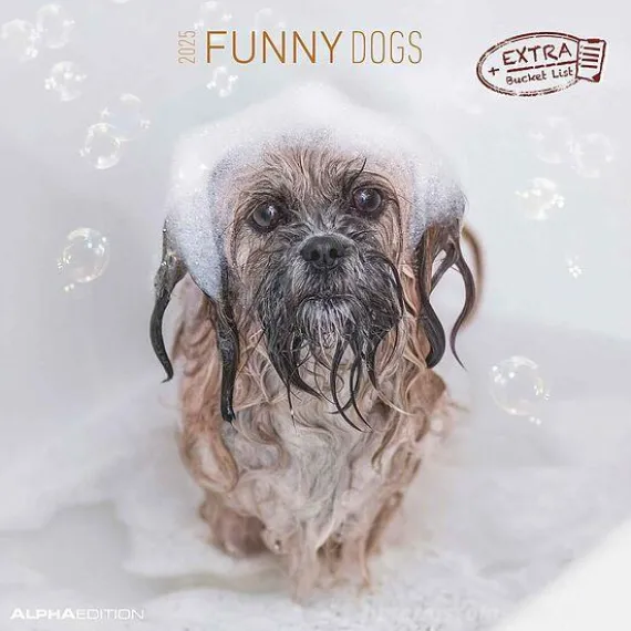 Calendario 2025 Funny Dogs cm 30x30