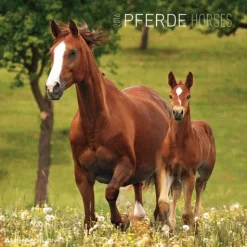 Calendario 2016 horses