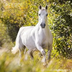 Calendario 2022 Horses 30x30
