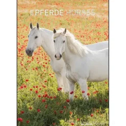 Calendario 2023 Horses 23,7x34