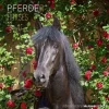 Calendario 2023 Horses 30x30
