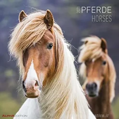 Calendario 2021 Horses 30x30