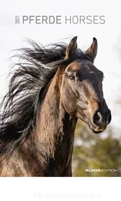 Calendario 2021 Horses 23,7x34