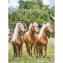 Calendario 2020 Horses 23,7x34 cm