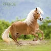 Calendario 2020 Horses 30x30 cm