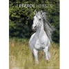 Calendario 2019 Horses 24x34 cm