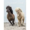 Calendario 2022 Iceland horses 29,7x42