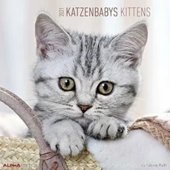Calendario 2021 Kittens 30x30