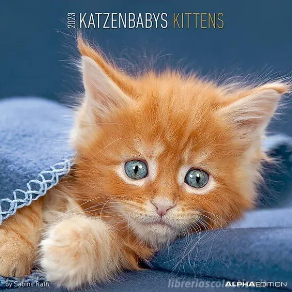 Calendario 2023 Kittens 30x30