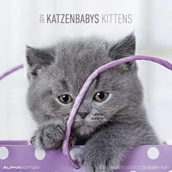 Calendario 2019 Kittens 30x30 cm