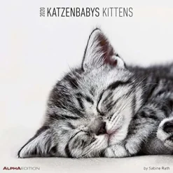 Calendario 2020 Kittens 30x30 cm