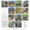 Calendario 2025 Koalas cm 30x30