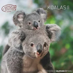Calendario 2025 Koalas cm 30x30