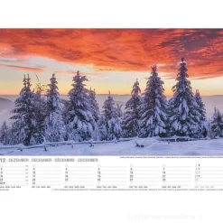 Calendario 2024 Magical Forest cm 42x29,7