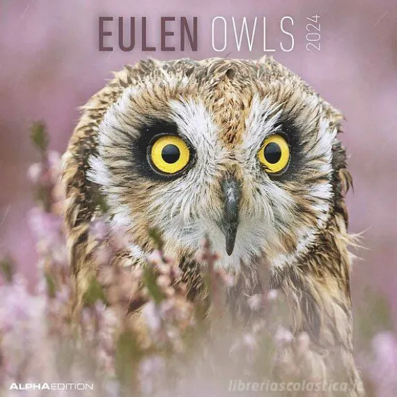 Calendario 2024 Owls cm 30x30