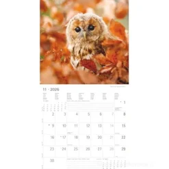 Calendario 2026 Owls cm 30x30