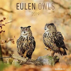 Calendario 2019 Owls 30x30 cm