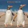 Calendario 2024 Penguins cm 30x30