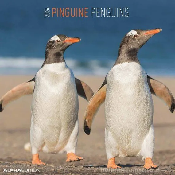 Calendario 2024 Penguins cm 30x30