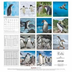 Calendario 2025 Penguins cm 30x30