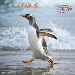 Calendario 2025 Penguins cm 30x30