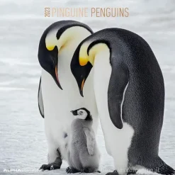 Calendario 2023 Penguins 30x30
