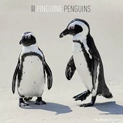 Calendario 2022 Penguins 30x30
