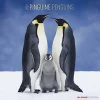 Calendario 2021 Penguins 30x30