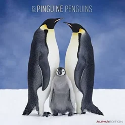 Calendario 2021 Penguins 30x30