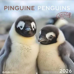 Calendario 2026 Pinguins cm 30x30