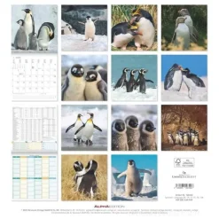 Calendario 2026 Pinguins cm 30x30