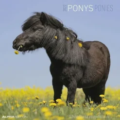 Calendario 2022 Ponies 30x30