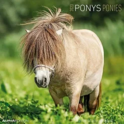 Calendario 2023 Ponies 30x30
