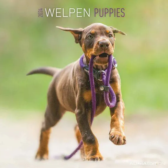 Calendario 2024 Puppies cm 30x30