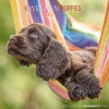 Calendario 2023 Puppies 30x30