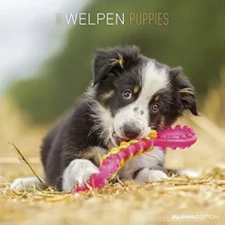 Calendario 2021 Puppies 30x30