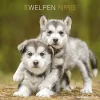 Calendario 2020 Puppies 30x30 cm
