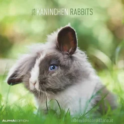 Calendario 2024 Rabbits cm 30x30