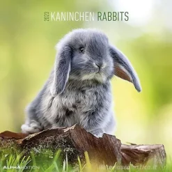 Calendario 2023 Rabbits 30x30