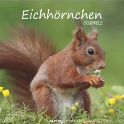Calendario 2026 Squirrels cm 30x30