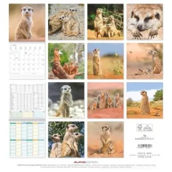 Calendario 2026 Suricates cm 30x30