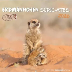 Calendario 2026 Suricates cm 30x30