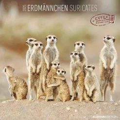 Calendario 2025 Suricates cm 30x30