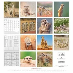 Calendario 2025 Suricates cm 30x30