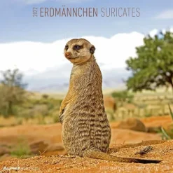 Calendario 2022 Suricates 30x30