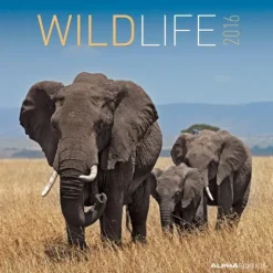 Calendario 2016 Wildlife